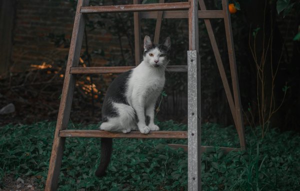 What Are Innovative Ways to Incorporate Smart Home Tech in Commercial Properties?