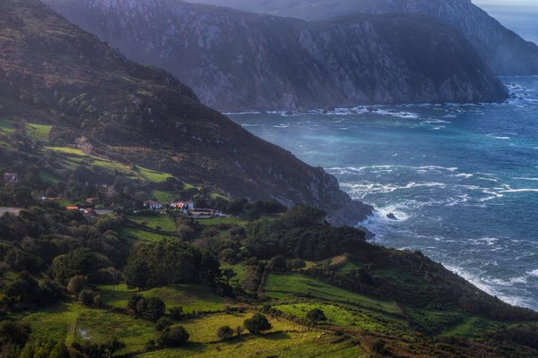 What Are the Effective Social Media Crisis Management Tactics for Small Businesses?